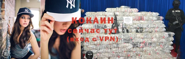 шишки Няндома