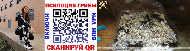 Псилоцибиновые грибы Magic Shrooms  купить закладку  shop Telegram  Серафимович 